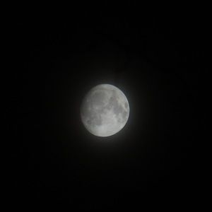 Meet your Posher, Charlene